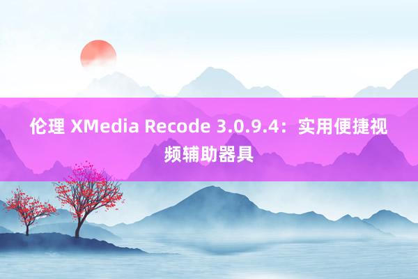 伦理 XMedia Recode 3.0.9.4：实用便捷视频辅助器具