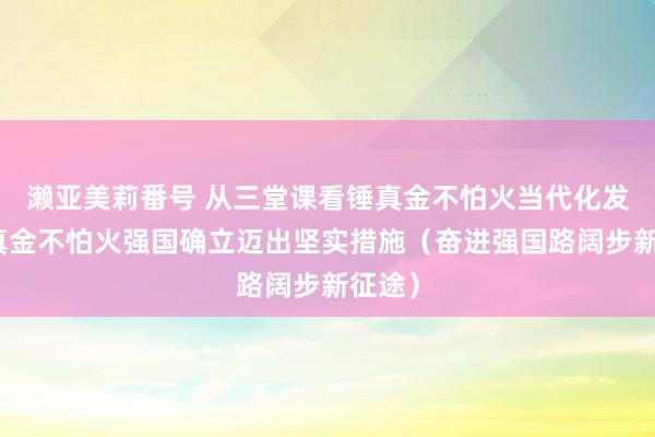 濑亚美莉番号 从三堂课看锤真金不怕火当代化发展锤真金不怕火强国确立迈出坚实措施（奋进强国路阔步新征途）